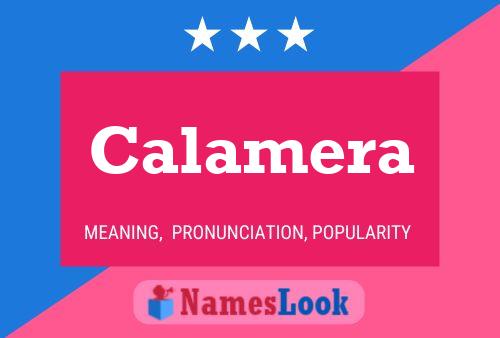 ملصق اسم Calamera