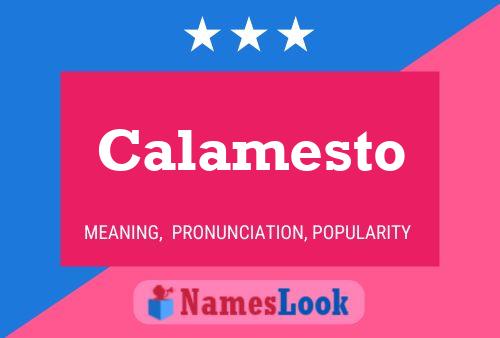 ملصق اسم Calamesto