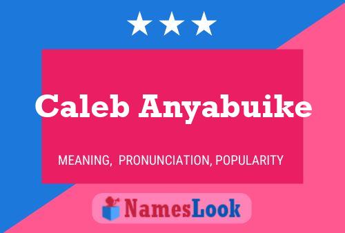 ملصق اسم Caleb Anyabuike