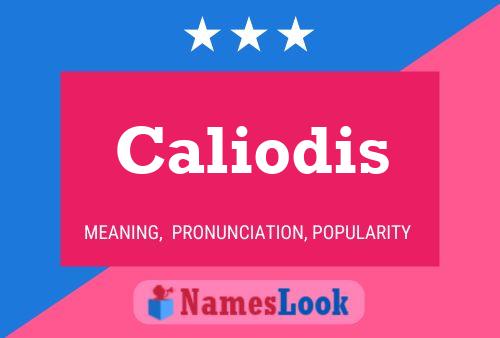 ملصق اسم Caliodis