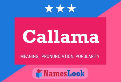 ملصق اسم Callama