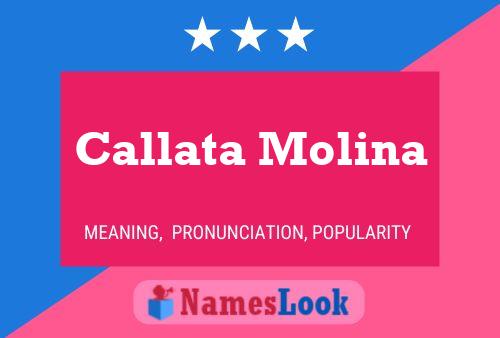 ملصق اسم Callata Molina