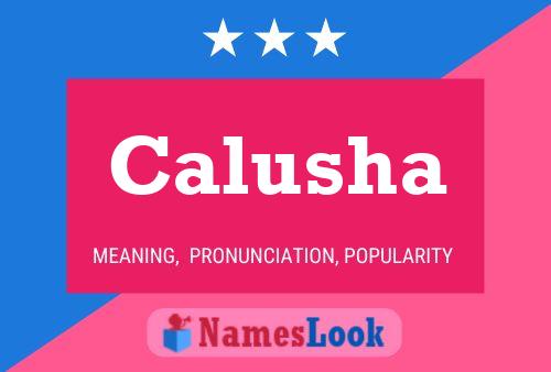 ملصق اسم Calusha