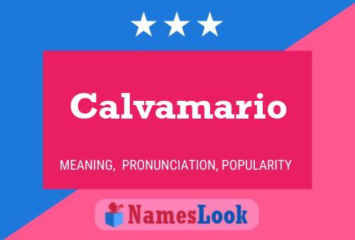 ملصق اسم Calvamario