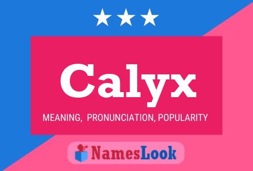 ملصق اسم Calyx