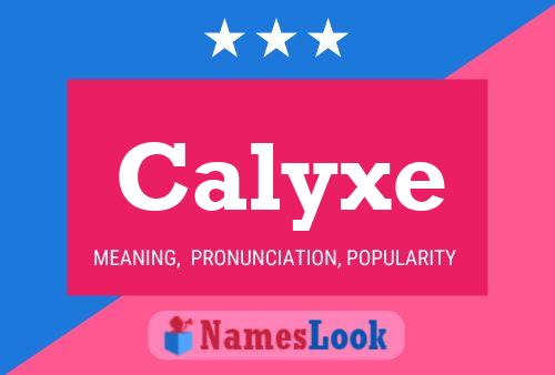 ملصق اسم Calyxe