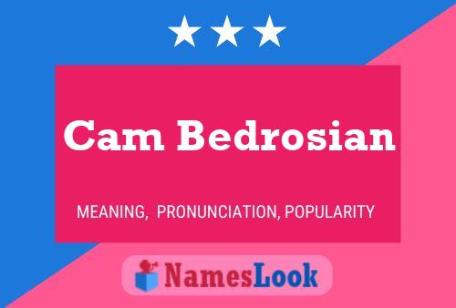 ملصق اسم Cam Bedrosian