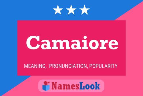 ملصق اسم Camaiore