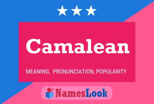 ملصق اسم Camalean