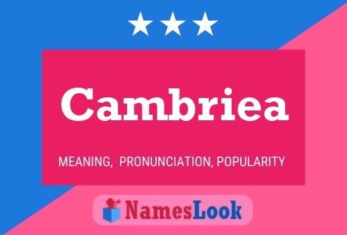 ملصق اسم Cambriea