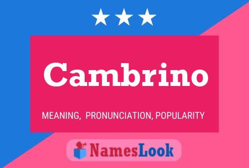 ملصق اسم Cambrino