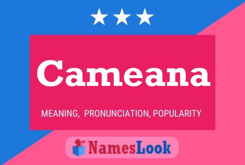 ملصق اسم Cameana