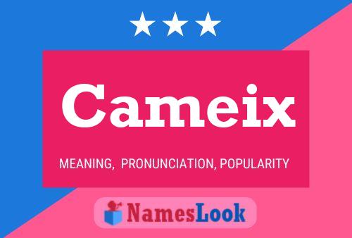 ملصق اسم Cameix