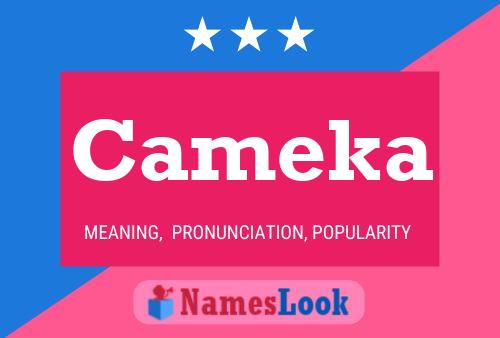 ملصق اسم Cameka