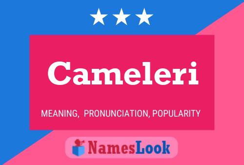 ملصق اسم Cameleri