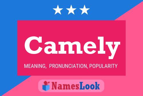 ملصق اسم Camely