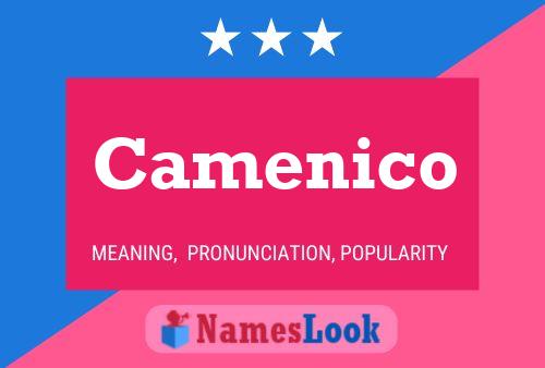 ملصق اسم Camenico