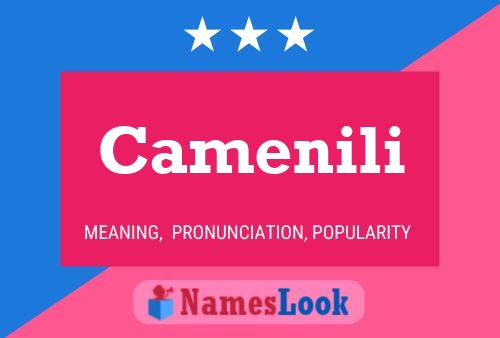 ملصق اسم Camenili