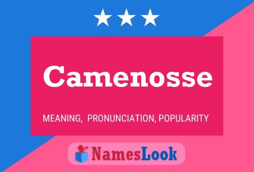 ملصق اسم Camenosse