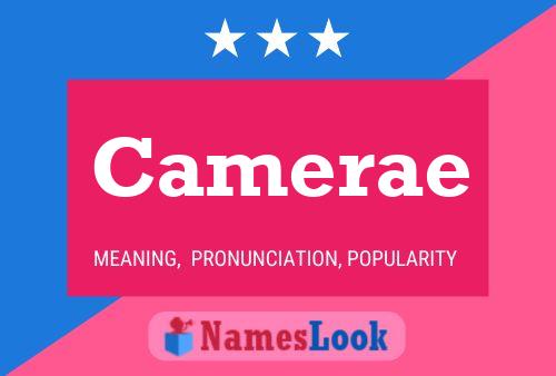 ملصق اسم Camerae