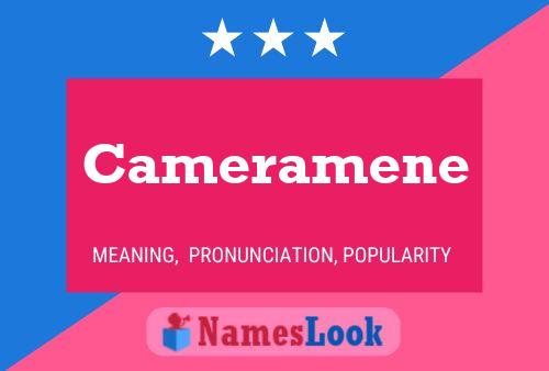 ملصق اسم Cameramene