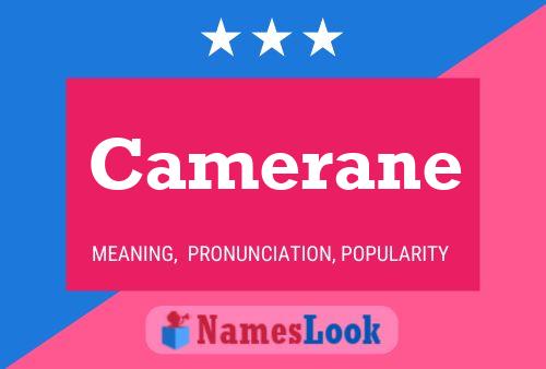 ملصق اسم Camerane