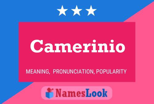 ملصق اسم Camerinio