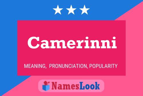 ملصق اسم Camerinni