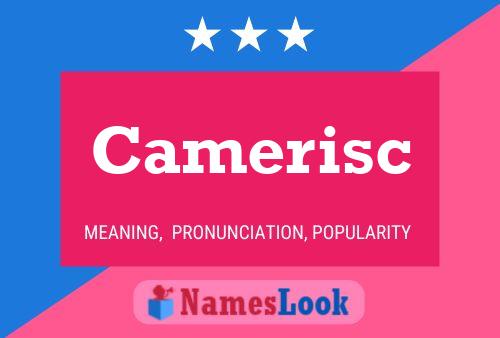 ملصق اسم Camerisc