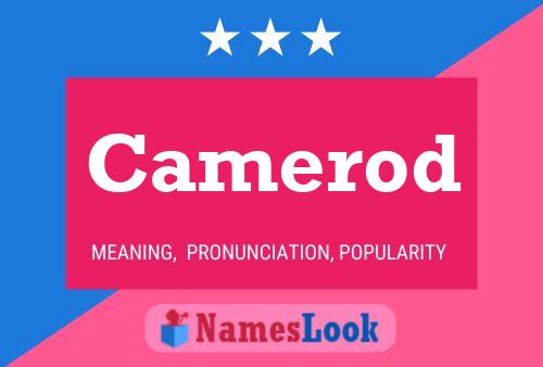 ملصق اسم Camerod