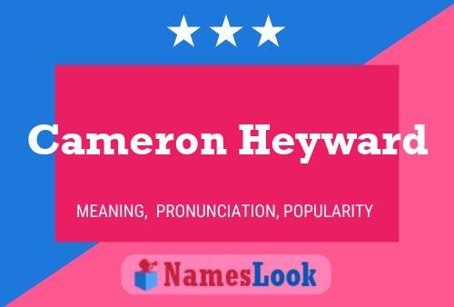 ملصق اسم Cameron Heyward