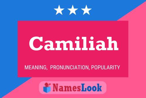 ملصق اسم Camiliah