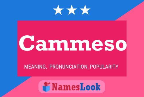 ملصق اسم Cammeso