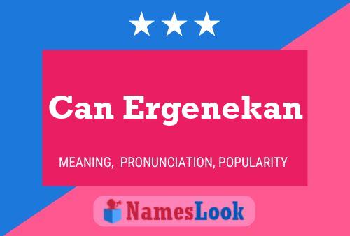 ملصق اسم Can Ergenekan