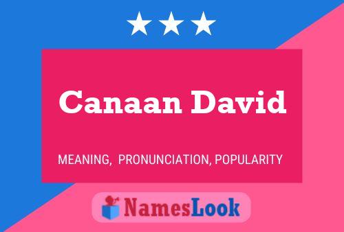 ملصق اسم Canaan David