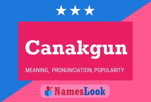 ملصق اسم Canakgun