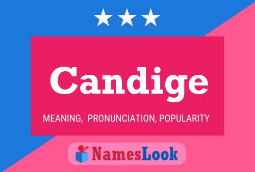 ملصق اسم Candige