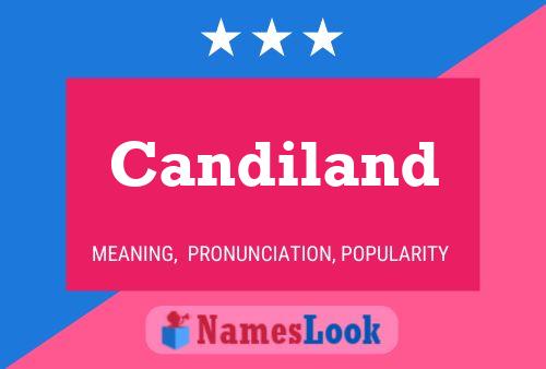 ملصق اسم Candiland