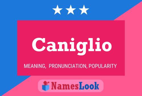 ملصق اسم Caniglio