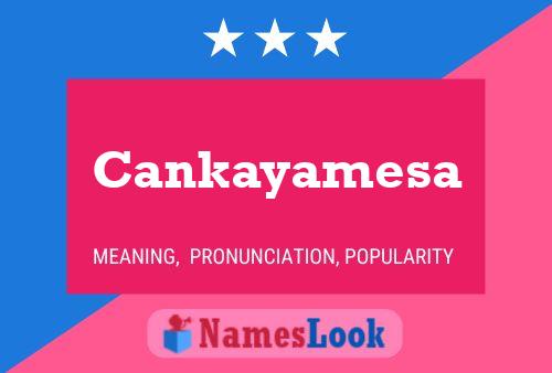 ملصق اسم Cankayamesa