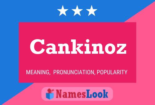 ملصق اسم Cankinoz