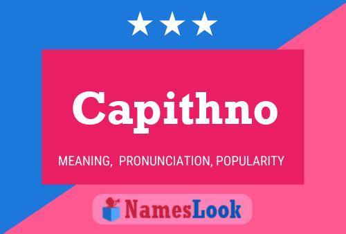 ملصق اسم Capithno