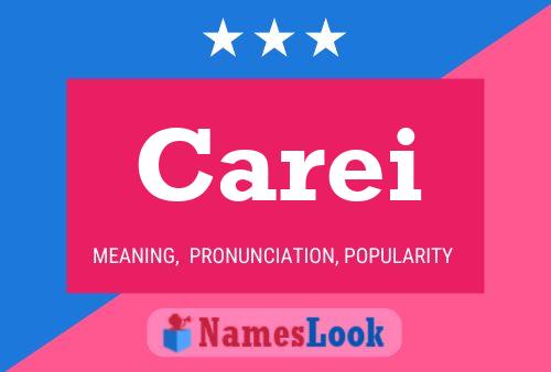 ملصق اسم Carei