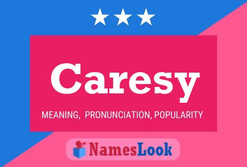 ملصق اسم Caresy