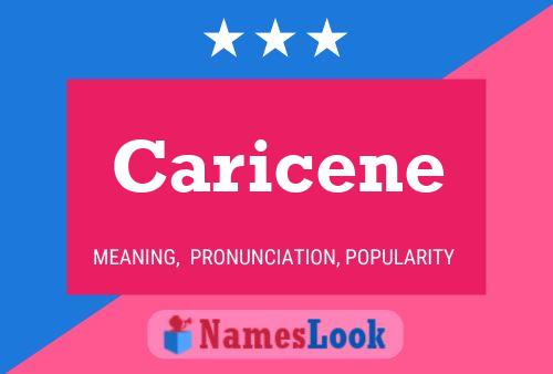 ملصق اسم Caricene