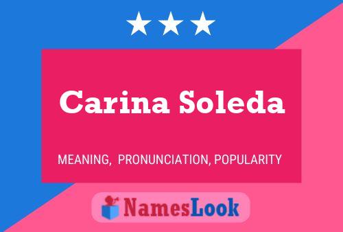 ملصق اسم Carina Soleda