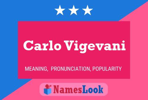 ملصق اسم Carlo Vigevani