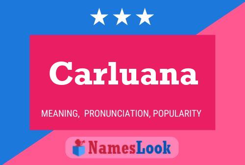 ملصق اسم Carluana