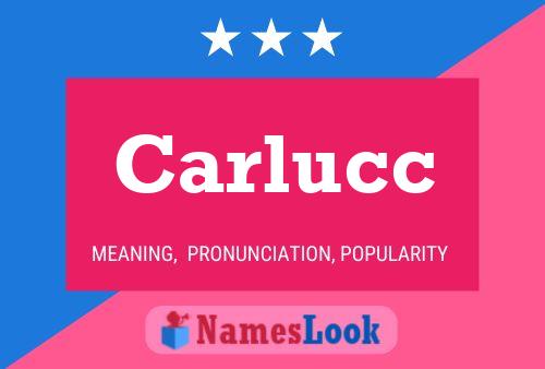 ملصق اسم Carlucc