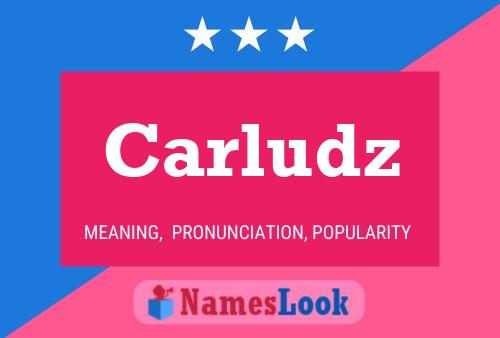 ملصق اسم Carludz